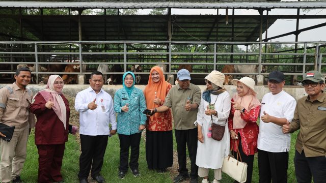 Kunjungi Sitandu, Tinawati Andra Soni Tekankan Penguatan Ketahanan Keluarga Lewat Pertanian