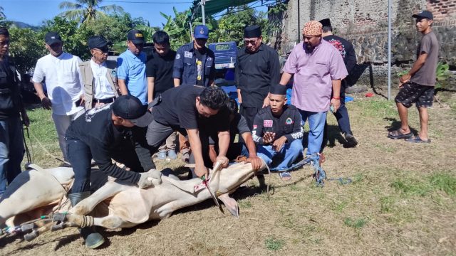 PWI Banten dan SMSI Banten Potong Dua Sapi Dari Gubernur dan Kapolda Banten
