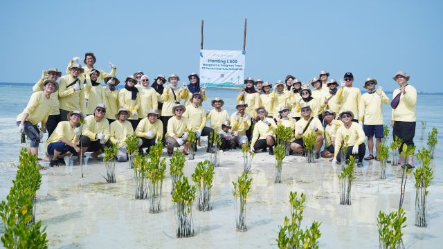 Bukan Sekadar Migas, PHI Turun Langsung Rehabilitasi Ekosistem Pesisir di Pulau Pari